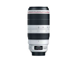 canon ef 100-400mm f4.5-5.6 l is usm