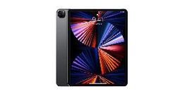 ipad pro (wi-fi) (a2378) 128gb (12,9) (5th generacion)