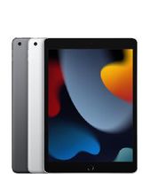 ipad (wi-fi) (a2602) 64gb (10.2) (9 generacion)