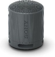 srs-xb100