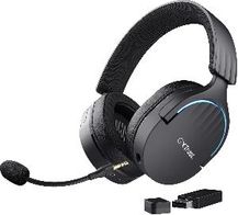 gxt 491 fayzo