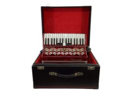 acorde&atilde;o parrot 1303