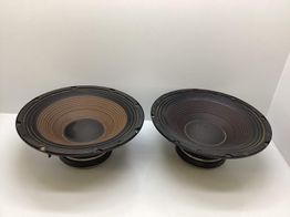 colunas coral electronic cw 300