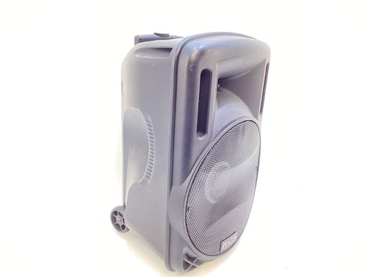 altavoz portatil bluetooth fenton ft12led