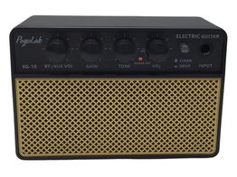 amplificador bajo pagolab kg10