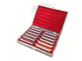 armonica harley benton blues harp