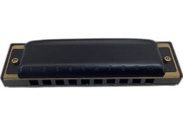 harm&oacute;nica hohner pro harp ms