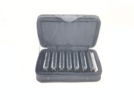 armonica hohner set blues