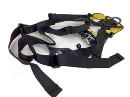 arnes petzl newton