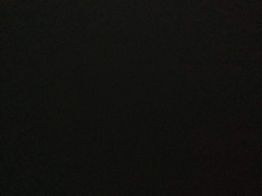 asistente inteligente amazon echo auto