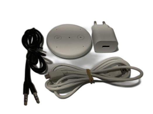 asistente inteligente amazon echo input