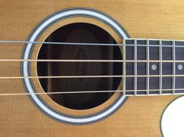 baixo el&eacute;trico washburn ab5