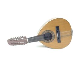 bandurria prudencio saez bandurria bandurria prudencio saez bandurria