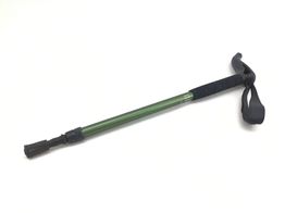 bast&atilde;o verde