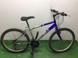 bicicleta monta&ntilde;a globe trotter 124x