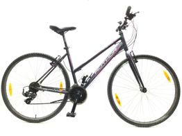 bicicleta monta&ntilde;a thema author