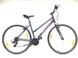 bicicleta monta&ntilde;a thema author