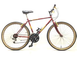 bicicleta monta&ntilde;a toimsa 985