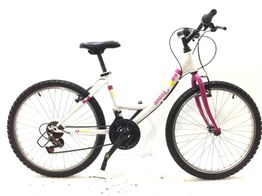bicicleta niño denbike 24