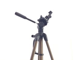 cabeça tripe star 61