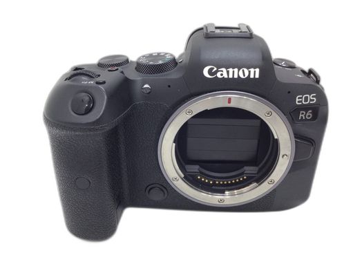 camara digital evil canon eos r6