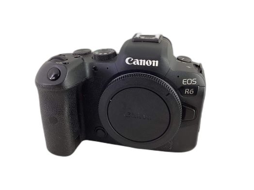 camara digital evil canon eos r6