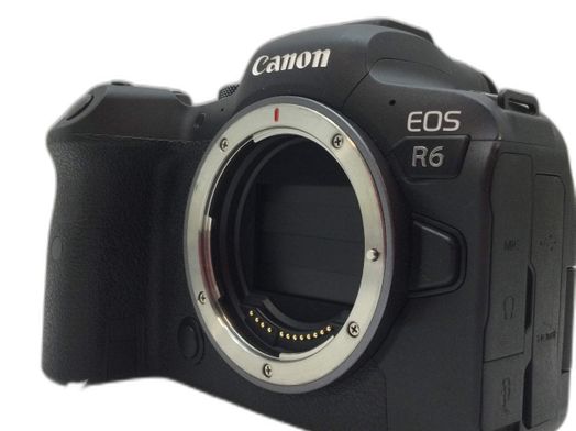 camara digital evil canon eos r6