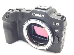 camara digital evil canon eos r8