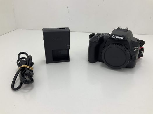 camara digital reflex canon eos 250d