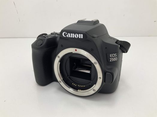 camara digital reflex canon eos 250d