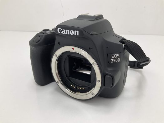 camara digital reflex canon eos 250d