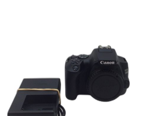 camara digital reflex canon eos 250d