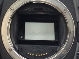 camara digital reflex canon eos 5d mark ii