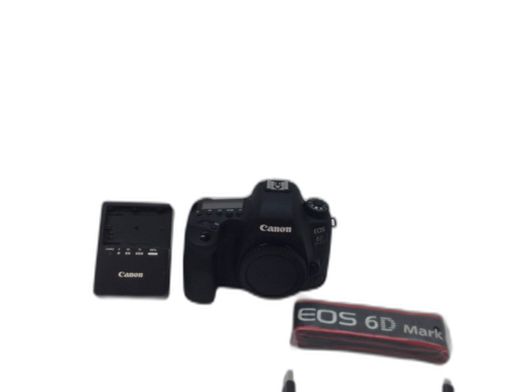 camara digital reflex canon eos 6d mark ii