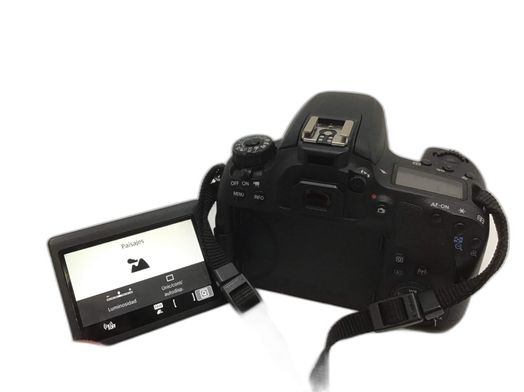 camara digital reflex canon eos 77d