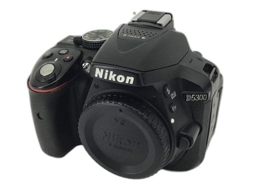 camara digital reflex nikon d5300