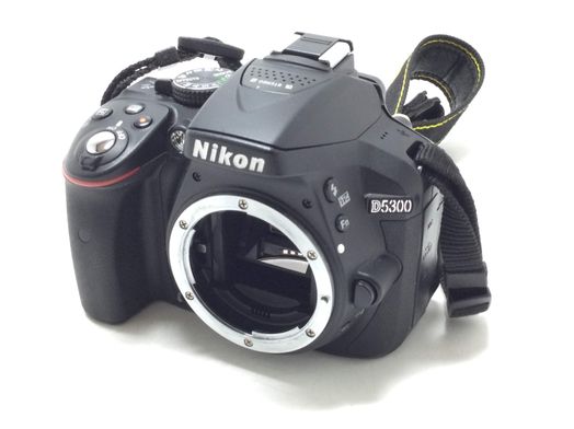 camara digital reflex nikon d5300