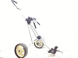 carro golf sin marca no aplica
