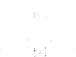 cerâmica gama alta atlantis sem modelo