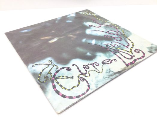 coleccionismo musical