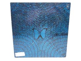 coleccionismo musical