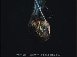 colecionismo musical