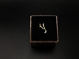 colgante oro 18k 