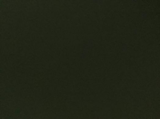 nintendo wii family mod. rvl-101