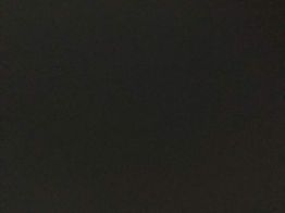 nintendo wii family mod. rvl-101