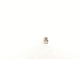 conta pandora sem modelo