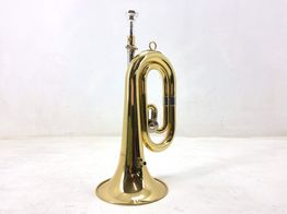 Corneta Amadeus act301
