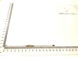 esclava oro 18k 