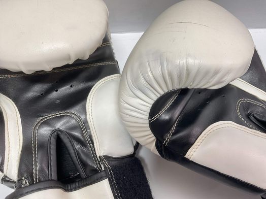 luvas custom fighter 14 oz