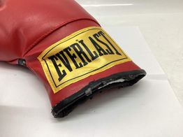 luvas everlast boxing gloves traditional style